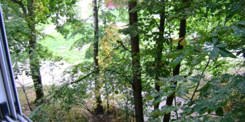 1-комн квартира ул Ельнинская,  д. 19