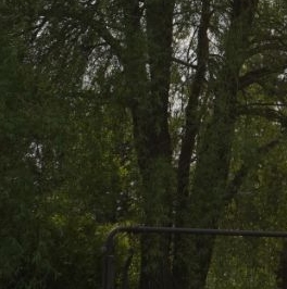 Продажа дома Спутник СНТ, 163 Продажа дома Спутник СНТ, 163