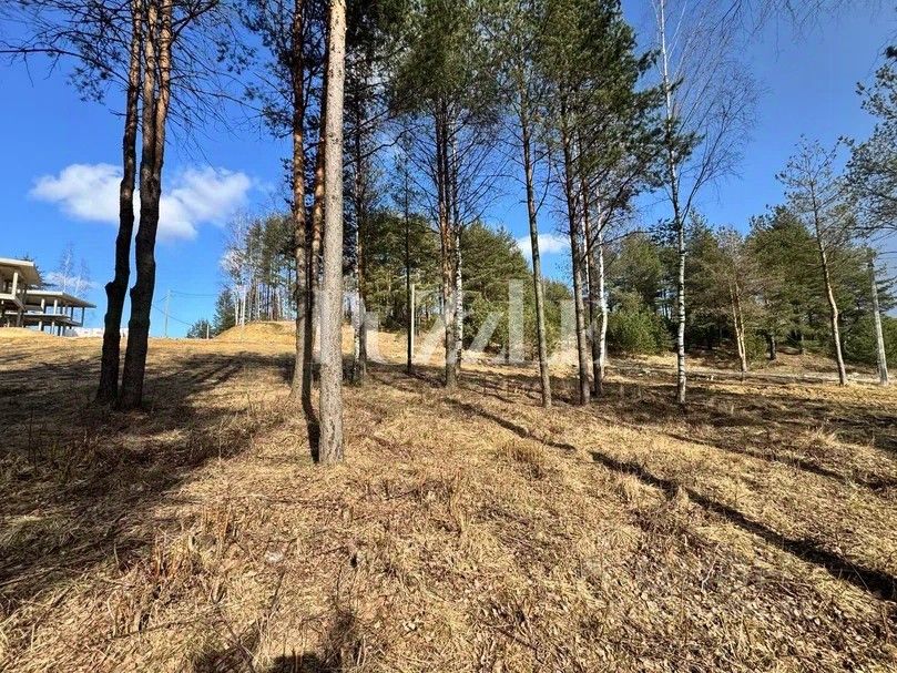 Продажа земли ХиллСайд кп, д. Мистолово, улица Светлая