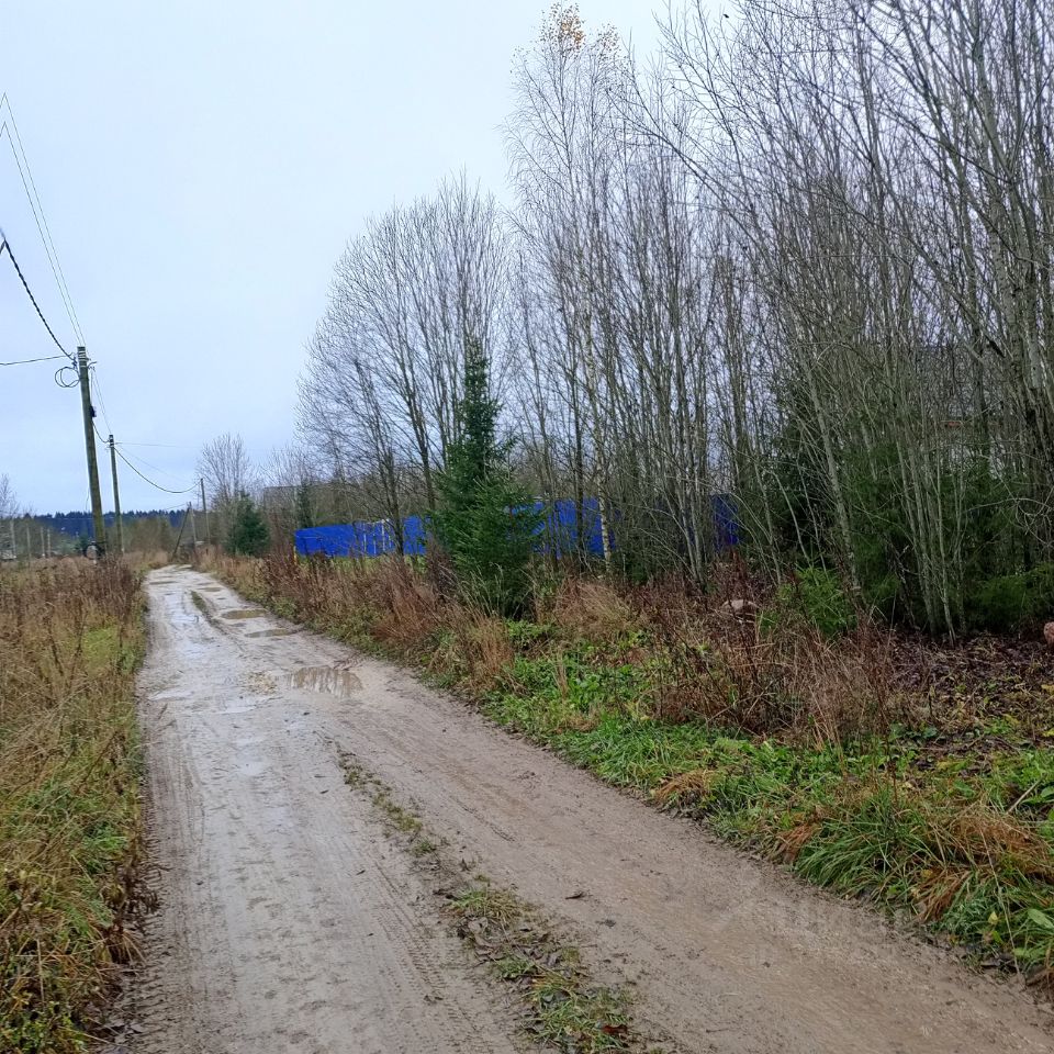 Продажа земли д. Калитино, улица Новодеревенская