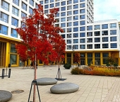 Продать Квартиры вторичка бульвар Головнина   