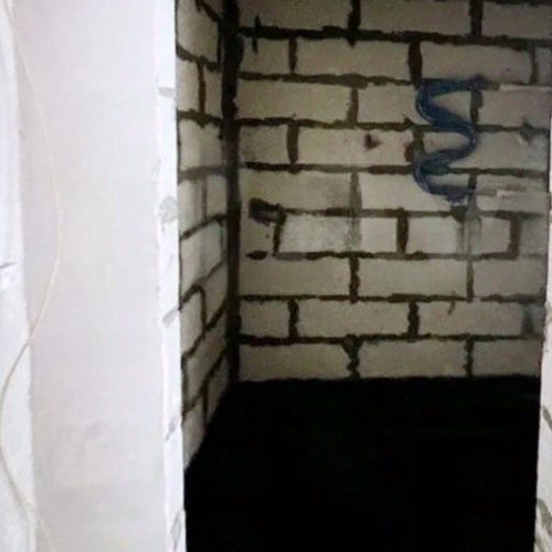 1-комн квартира д. Юкки, улица Тенистая, 11к2