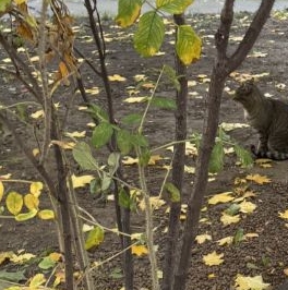 Продажа 4-комн квартиры на вторичном рынке Волоколамский переулок, 1