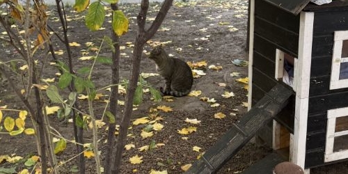 4-комн квартира Волоколамский переулок, 1