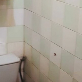 Продажа 2-комн квартиры на вторичном рынке Космонавтов пр-кт,  д. 52 к6