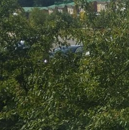 Продажа 1-комн квартиры на вторичном рынке Мечта кп, с. Озерецкое, бульвар Мечта, 10 Продажа 1-комн квартиры на вторичном рынке Мечта кп, с. Озерецкое, бульвар Мечта, 10