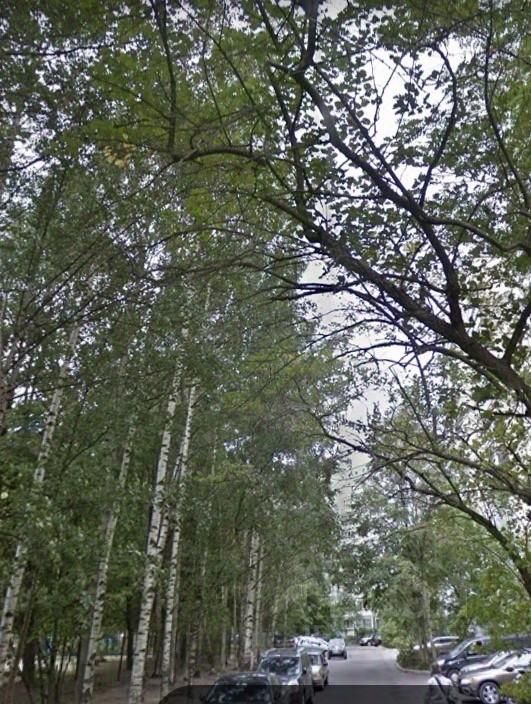 Продажа 3-комн квартиры на вторичном рынке Светлановский проспект, 71К2