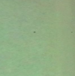 Продажа 2-комн квартиры на вторичном рынке Партизанская улица, 49К2