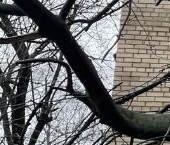 Продать Квартиры вторичка Выборгская улица, 10   