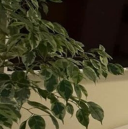 Продажа 1-комн квартиры на вторичном рынке пос. Новогорелово, бульвар Десантника Вадима Чугунова, 1к3 Продажа 1-комн квартиры на вторичном рынке пос. Новогорелово, бульвар Десантника Вадима Чугунова, 1к3