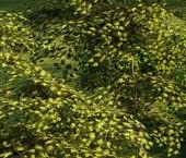 Продать Земельные участки, земля Всеволожск, бульвар Вишневый, 1   