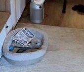 Продать Квартиры вторичка улица Беринга, 28К2   