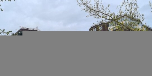 3-комн квартира улица Рылеева,  д. 2/6