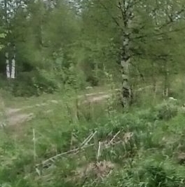 Продажа земли Поляна СНТ, улица Изумительная, д. 43 Продажа земли Поляна СНТ, улица Изумительная, д. 43