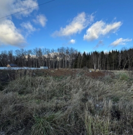 Продажа земли Шишкино, 46Н-01536 Продажа земли Шишкино, 46Н-01536