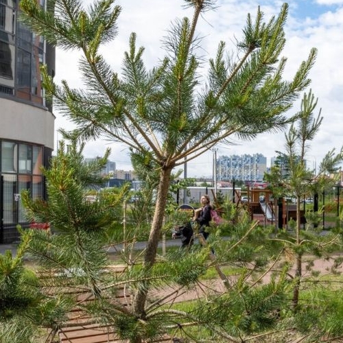 2-комн квартира пос. Бугры, улица Тихая