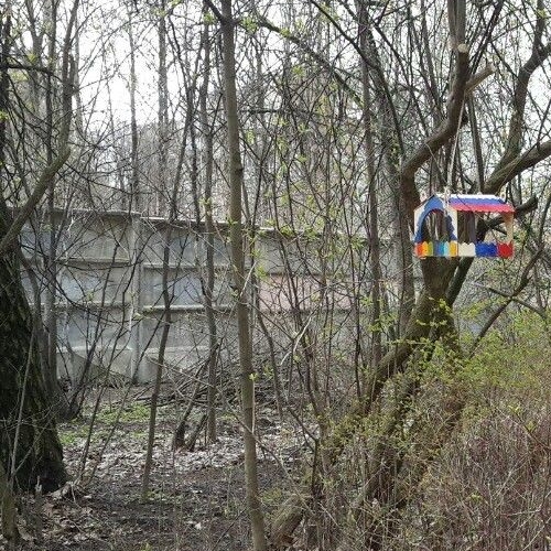 2-комн квартира улица Орбели, 27К4