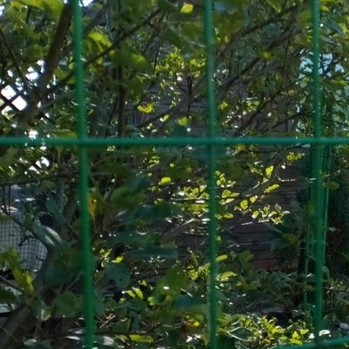 Коттедж/дом Лужское-3 кп,  д. 1