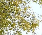 Продать Квартиры вторичка Большой Рогожский переулок, 10К3   