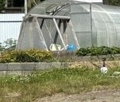 Продать Земельные участки, земля Озерная долина ДНП  25 