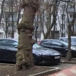 Продажа 3-комн квартиры на вторичном рынке Большая Черкизовская улица, 5К1 Продажа 3-комн квартиры на вторичном рынке Большая Черкизовская улица, 5К1