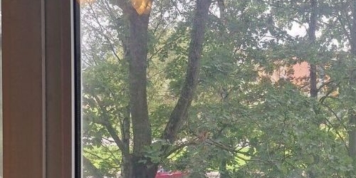 3-комн квартира Пушкин, Ленинградская улица, 79/27