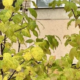 Продажа 2-комн квартиры на вторичном рынке улица Десантников, 32К3 Продажа 2-комн квартиры на вторичном рынке улица Десантников, 32К3