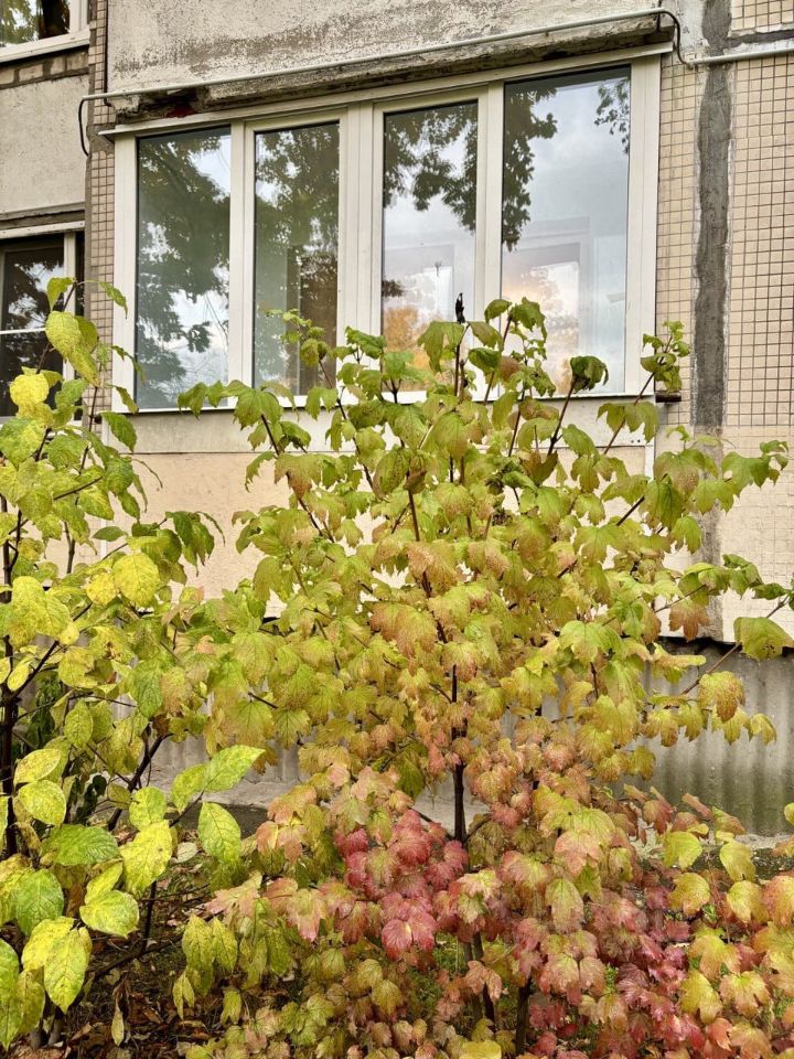 Продажа 2-комн квартиры на вторичном рынке улица Десантников, 32К3