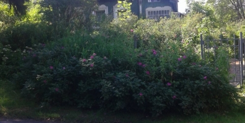 Коттедж/дом Тярлево пос., Большая ул.