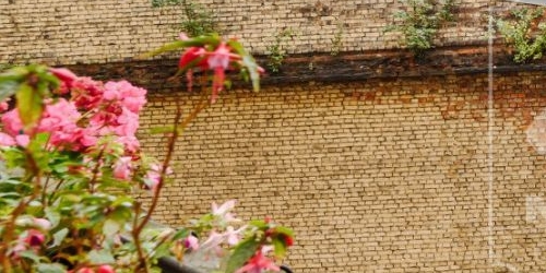 3-комн квартира Кронверкский проспект, 27Б