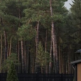 Продажа дома Всеволожск, Алексеевский проспект, 262 Продажа дома Всеволожск, Алексеевский проспект, 262