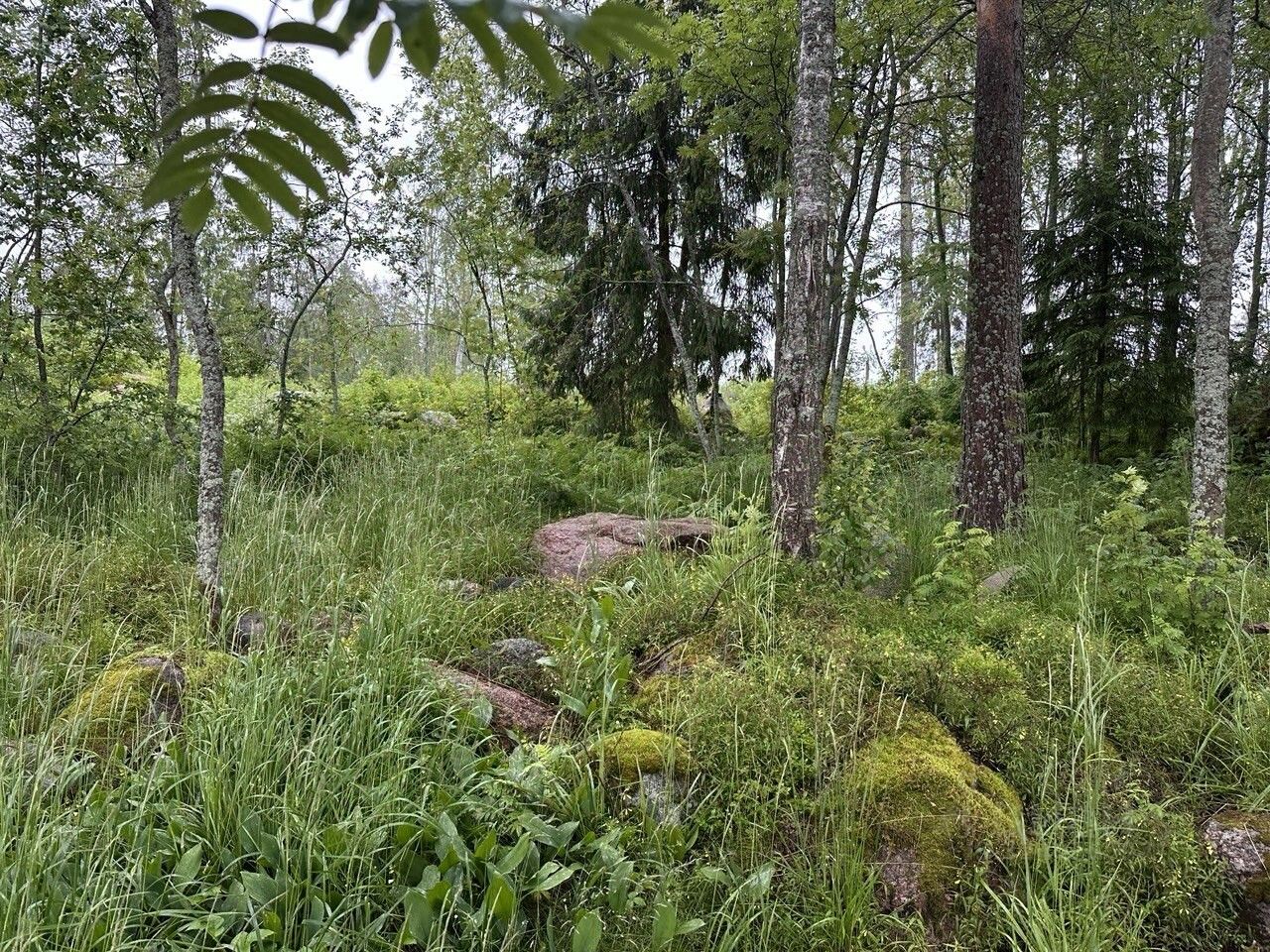 Продажа земли Сосновый пляж кп,  д. 95