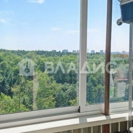 Продажа 1-комн квартиры на вторичном рынке Парковая 16-я ул,  д. 10