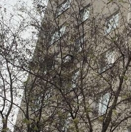 Аренда 1-комн квартиры на вторичном рынке Дзержинский, Дзержинская улица, 21