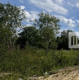 Продажа земли д. Большие Горки, 71