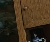 Сдать в аренду Квартиры вторичка Палехская улица, 11К2   