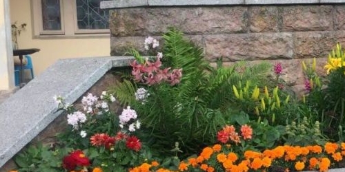 1-комн квартира Сестрорецк, Дубковское шоссе, 11