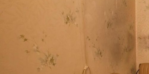 3-комн квартира улица Чайковского, 25