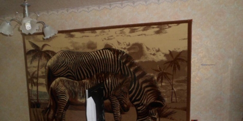 3-комн квартира Сланцы г, Гагарина ул,  д. 7