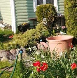 Продажа дома Ухта садоводческий массив, Белогорка СТ, проезд 6-й Пожарный Продажа дома Ухта садоводческий массив, Белогорка СТ, проезд 6-й Пожарный