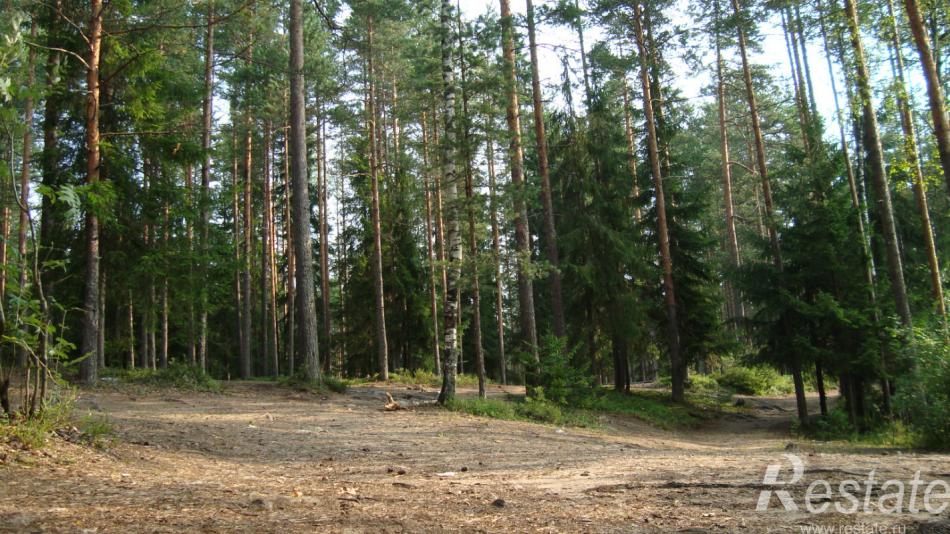 Продажа дома Приморск г, Выборгское ш