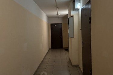 1-комн квартира Кондратьевский проспект, 70к1