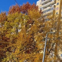 Аренда 3-комн квартиры на вторичном рынке улица Маршала Захарова, 30К1