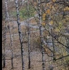 Продажа 3-комн квартиры на вторичном рынке Мытищи, Новомытищинский проспект, 45к1