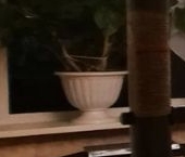 Продать Квартиры вторичка Отрадное, улица Дружбы, 18   