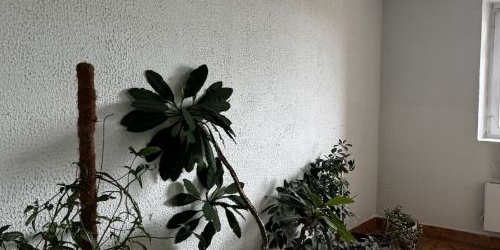 3-комн квартира Одинцово, улица Говорова, 85