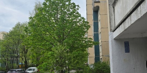 1-комн квартира ул Осипенко,  д. 3