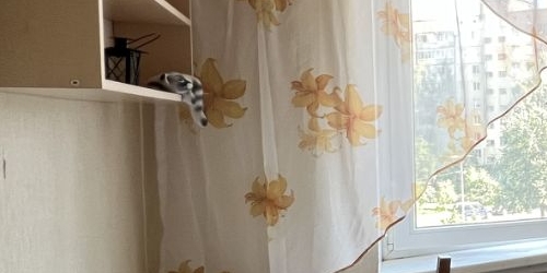 2-комн квартира проспект Косыгина, 9к2Б