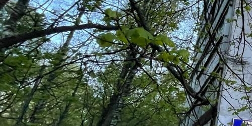 Комната Сумской проезд, 25К2