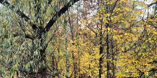 2-комн квартира Щелковское шоссе, 12К3